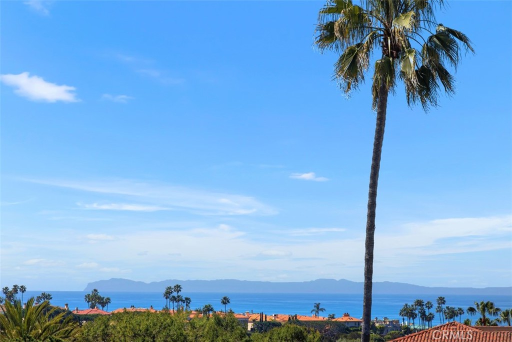 106 Tennis Villas Drive, Dana Point CA 92629 - photo 20