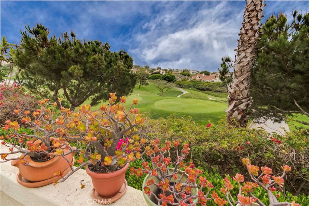 106 Tennis Villas Drive, Dana Point CA 92629 - photo 27