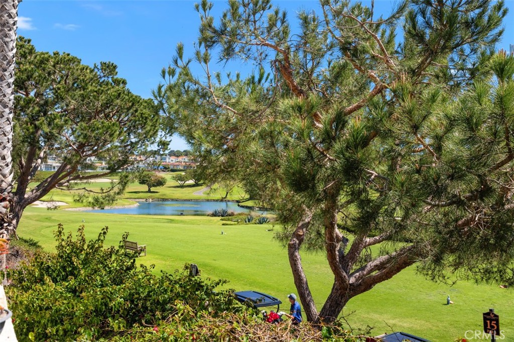 106 Tennis Villas Drive, Dana Point CA 92629 - photo 28