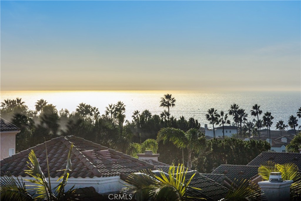 Ocean Views - 11 Regina, Dana Point CA 92629 - photo 1