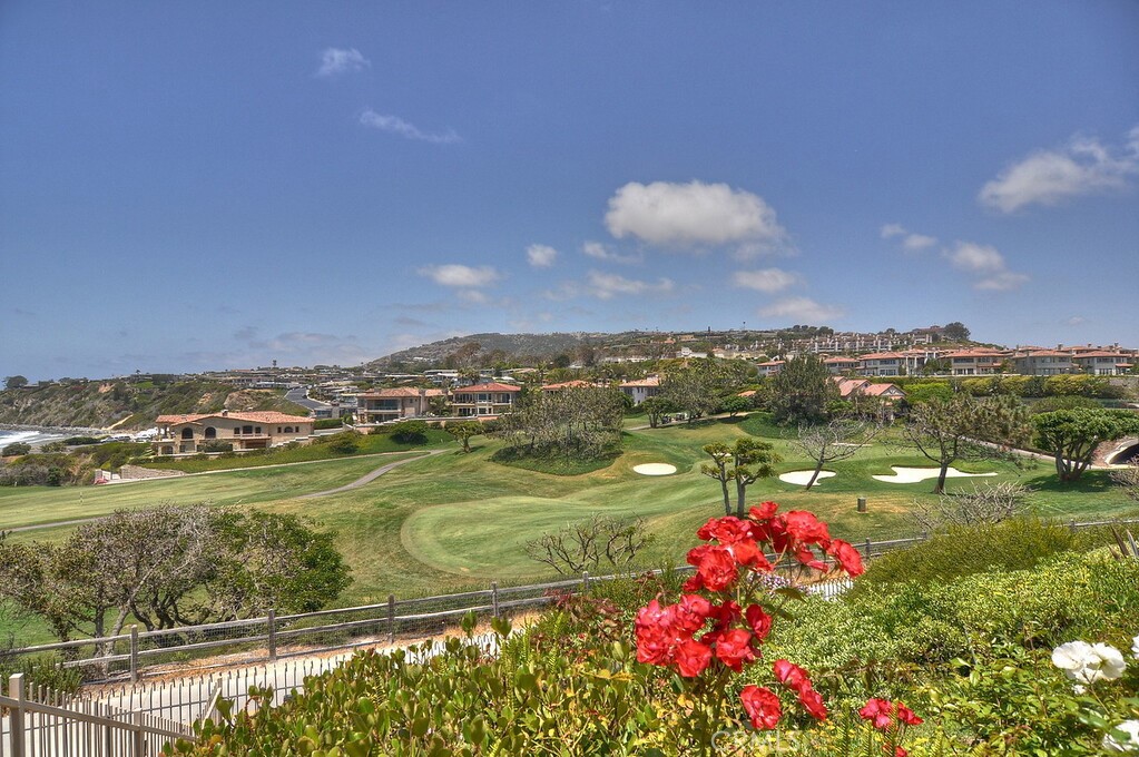 Community ariel shots. - 1207 Doheny Way, Dana Point CA 92629 - photo 73