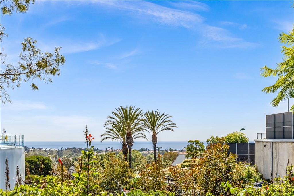 13 Veracruz, Dana Point CA 92629 - photo 19