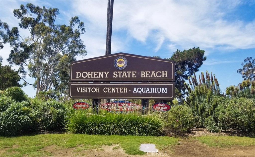 1529 Doheny Way, Dana Point CA 92629 - photo 56