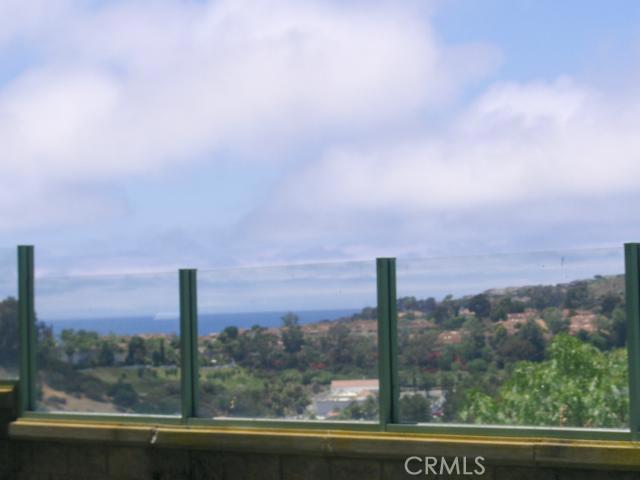 Ocean Views from Back Patio - 17 Sunbridge Place, Dana Point CA 92629 - photo 1