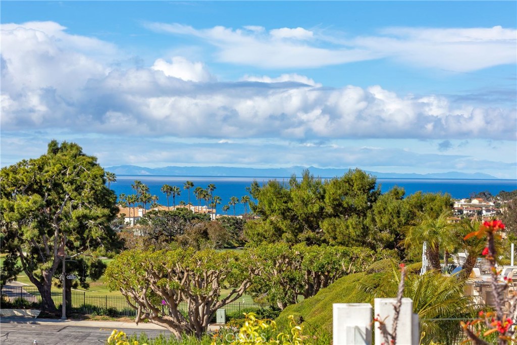 18 Duquesa, Dana Point CA 92629 - photo 1