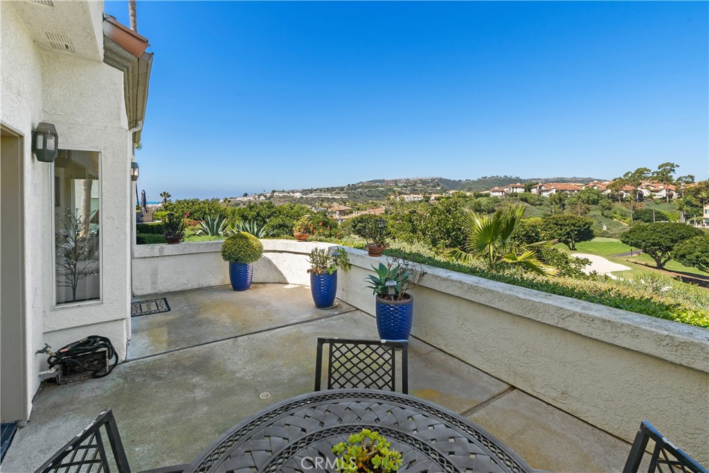 19 Wightman Court, Dana Point CA 92629 - photo 29