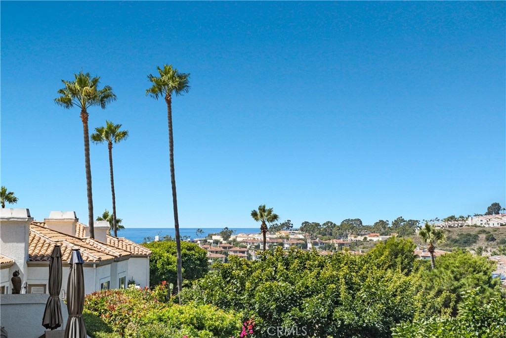 19 Wightman Court, Dana Point CA 92629 - photo 31