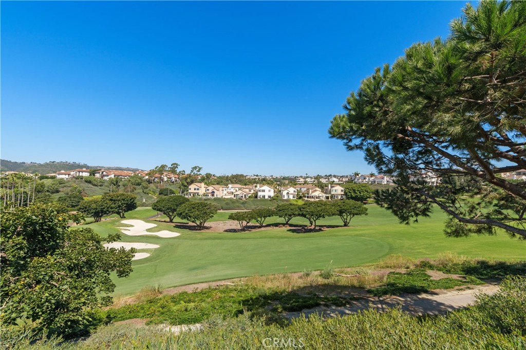 19 Wightman Court, Dana Point CA 92629 - photo 34