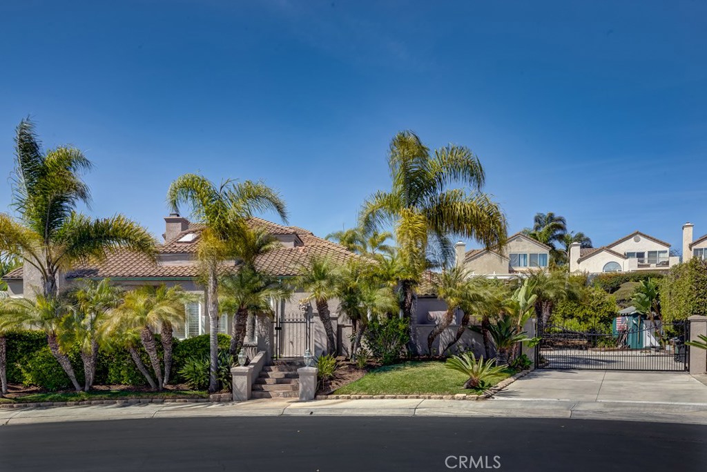 Beautifully placed and sculptured palms provide privacy behind the remote controlled walk-in and driveway gates - 2 Regina, Dana Point CA 92629 - photo 1