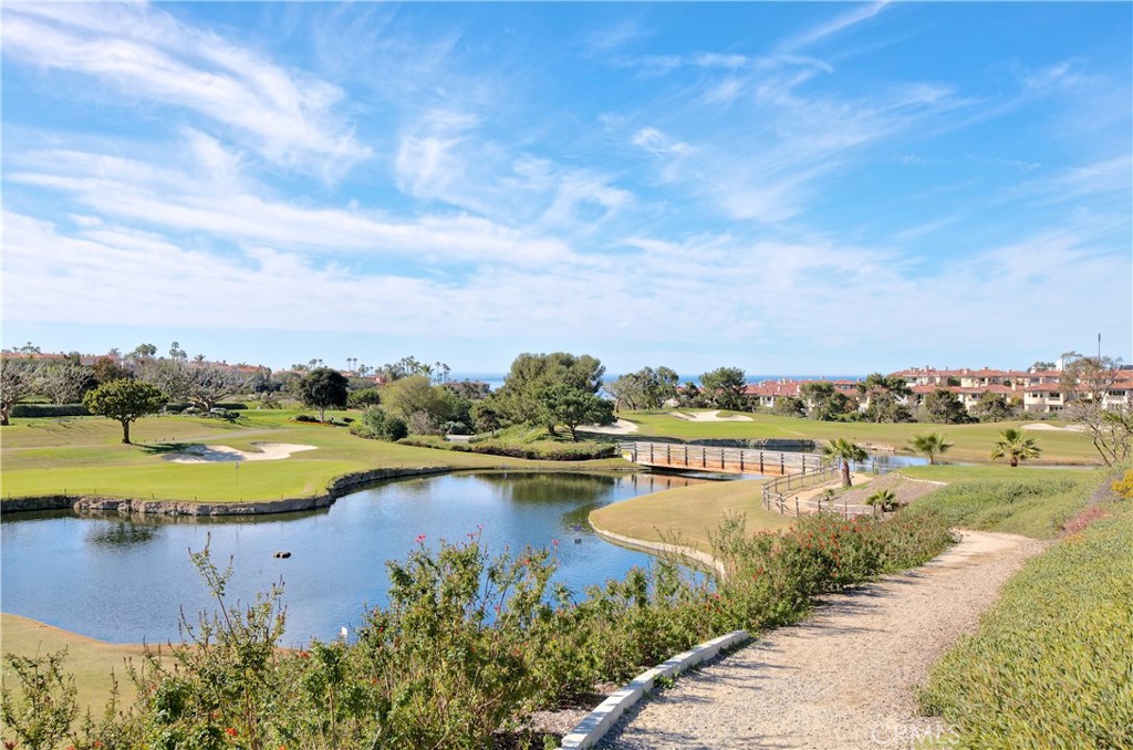 20 Corniche A, Dana Point CA 92629 - photo 50