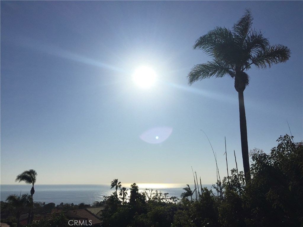 22802 Via Orvieto, Dana Point CA 92629 - photo 1