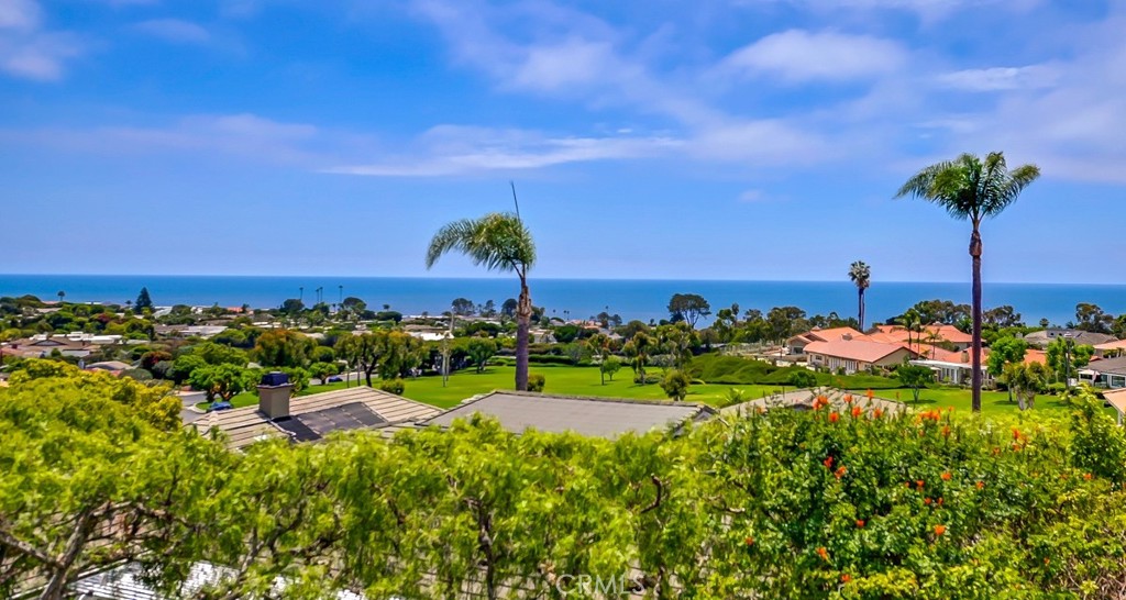 Spectacular views!! - 22862 Via Cordova, Dana Point CA 92629 - photo 1