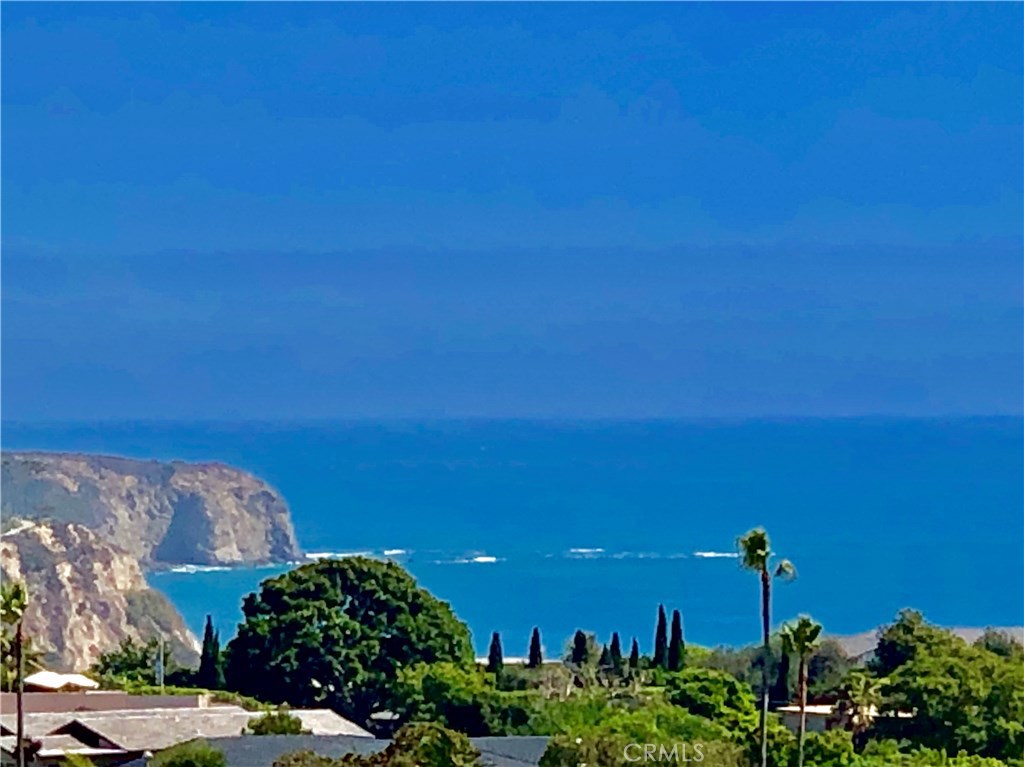 22872 Via Cordova, Dana Point CA 92629 - photo 1