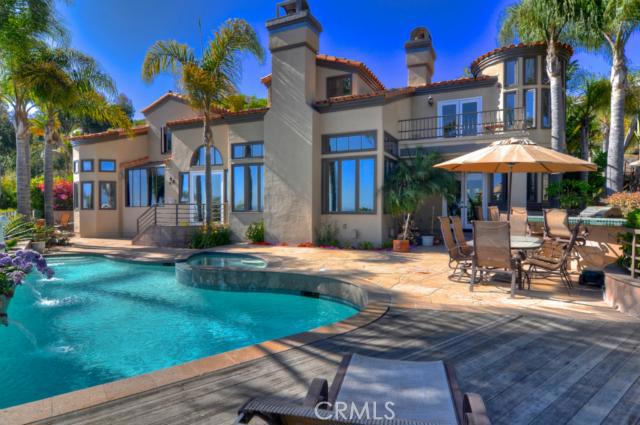 Great back yard with full privacy, no neighbors can see in! - 22905 Via Orvieto, Dana Point CA 92629 - photo 1