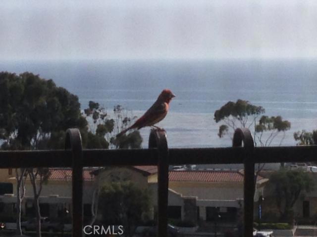 23258 Atlantis Way, Dana Point CA 92629 - photo 1
