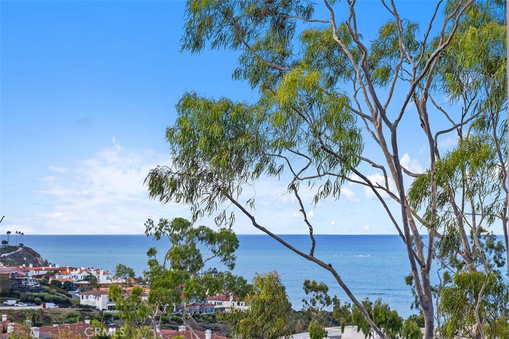 23274 Atlantis, Dana Point CA 92629 - photo 2