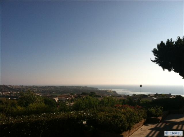 View of Ritz Carlton and Ocean - 23292 PALAWAN Circle, Dana Point CA 92629 - photo 1