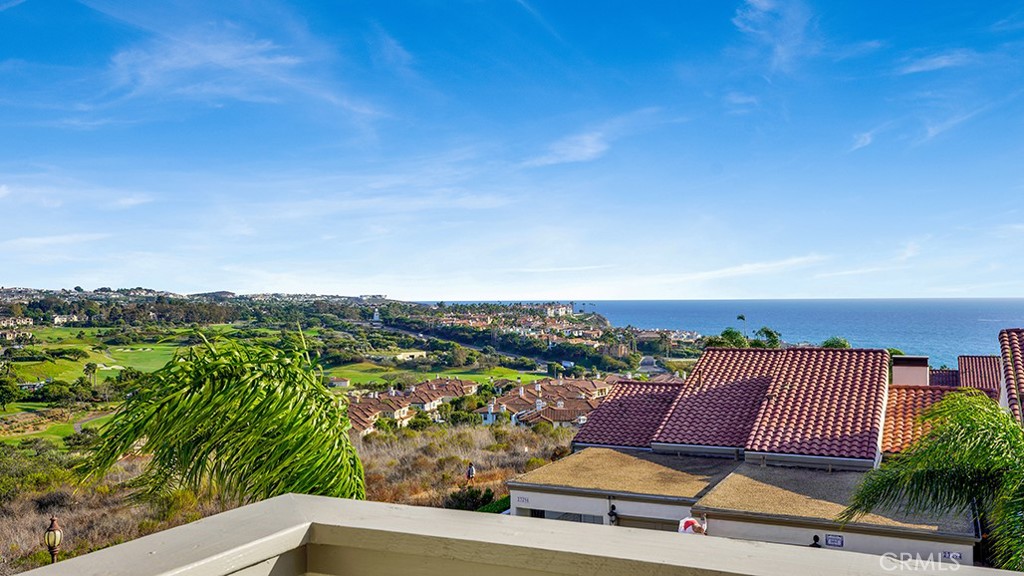 Primary view - 23293 Pompeii, Dana Point CA 92629 - photo 25