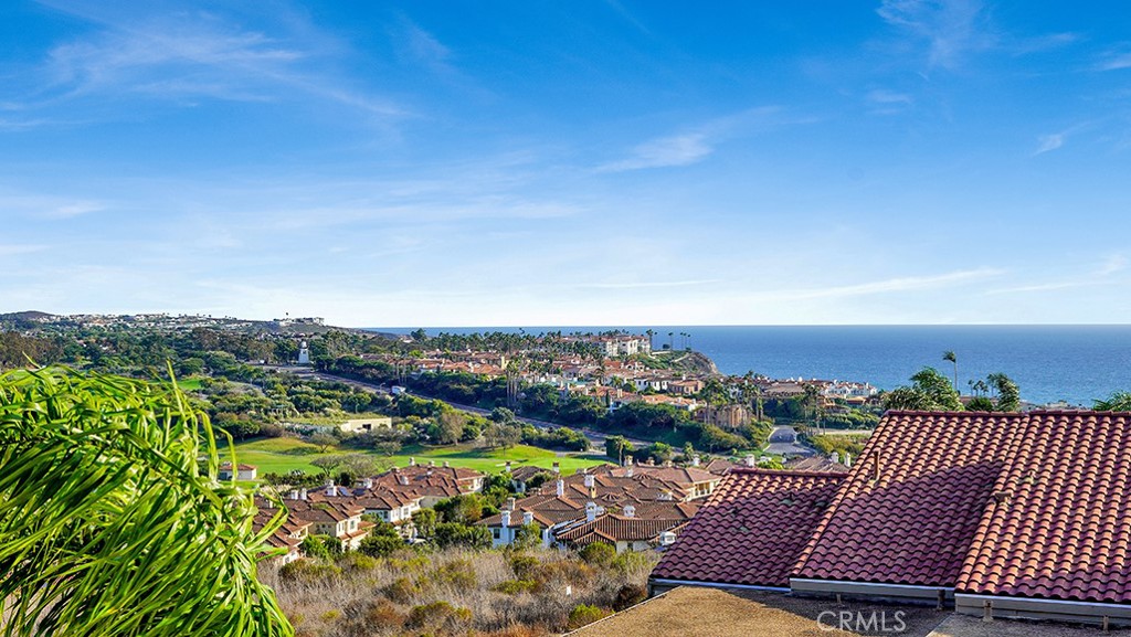 23293 Pompeii, Dana Point CA 92629 - photo 27