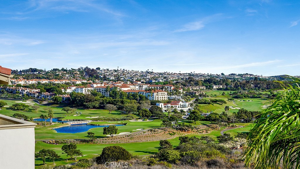 23293 Pompeii, Dana Point CA 92629 - photo 28