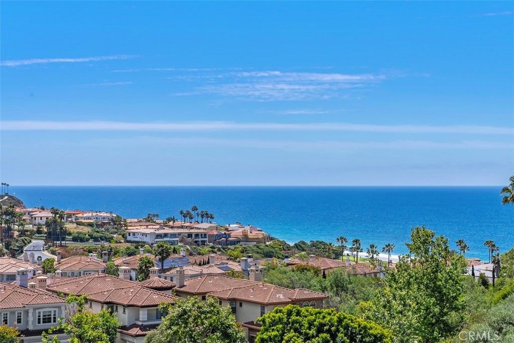 23294 Atlantis Way, Dana Point CA 92629 - photo 6