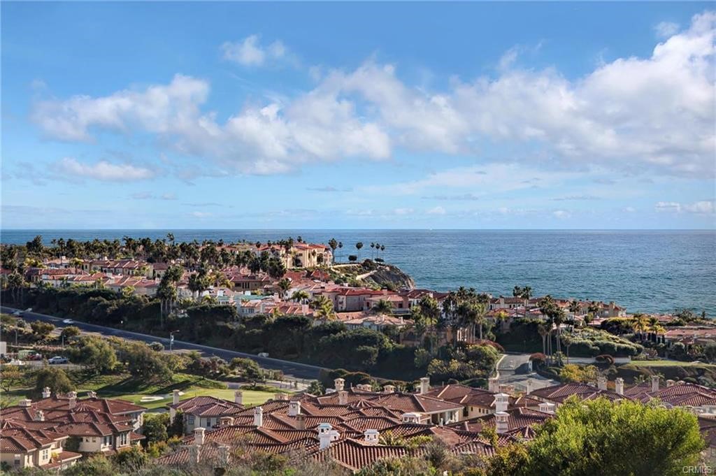 23295 Pompeii Drive 10, Dana Point CA 92629 - photo 1