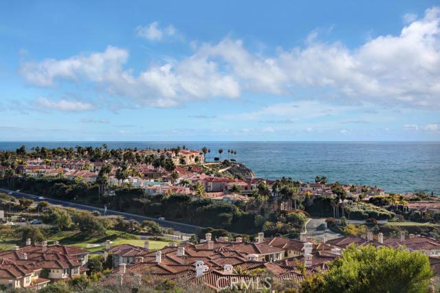 View - 23295 Pompeii Drive, Dana Point CA 92629 - photo 1