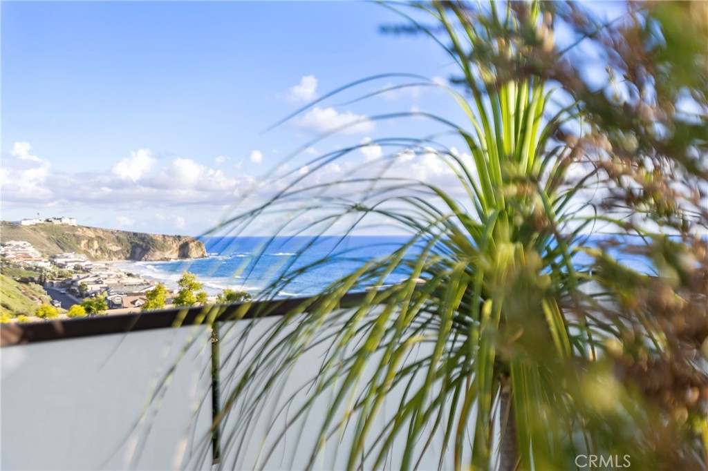 23502 Seaward Isle, Dana Point CA 92629 - photo 58