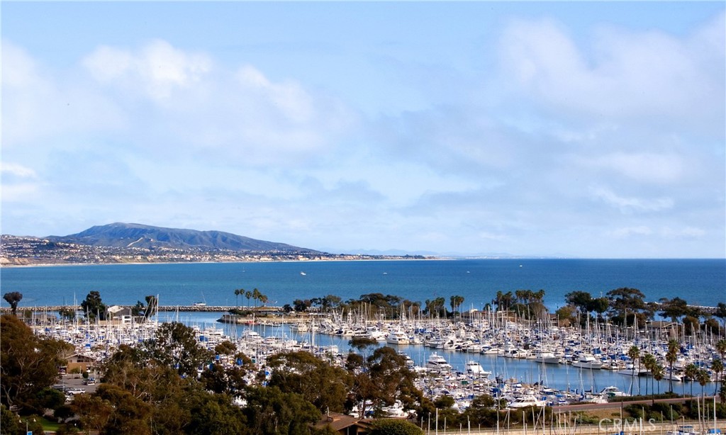 NEARBY MARINA AT DANA POINT WITH SHOPS AND RESTAURANTS - 23661 Tampico, Dana Point CA 92629 - photo 29