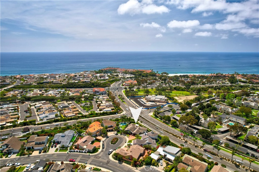 23811 Dasya Circle, Dana Point CA 92629 - photo 53