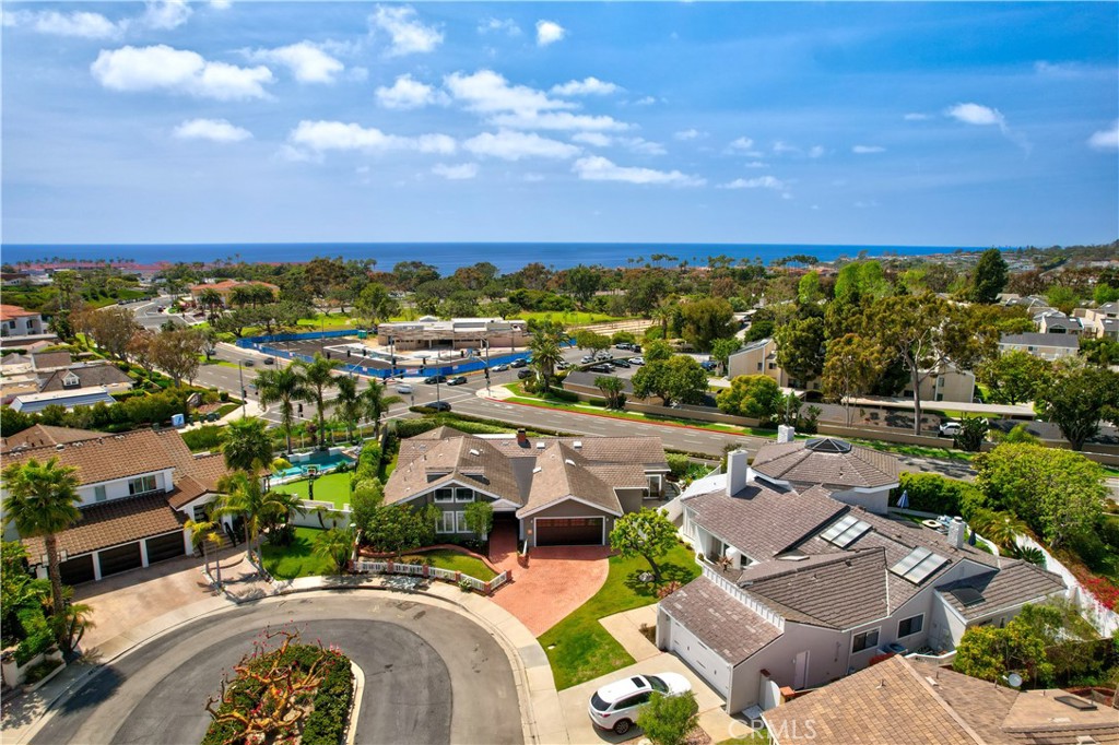 23811 Dasya Circle, Dana Point CA 92629 - photo 56