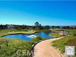 Nature trail to Salt Creek Beach through The Links golf course - 24 CORNICHE Drive F, Dana Point CA 92629 - photo 1
