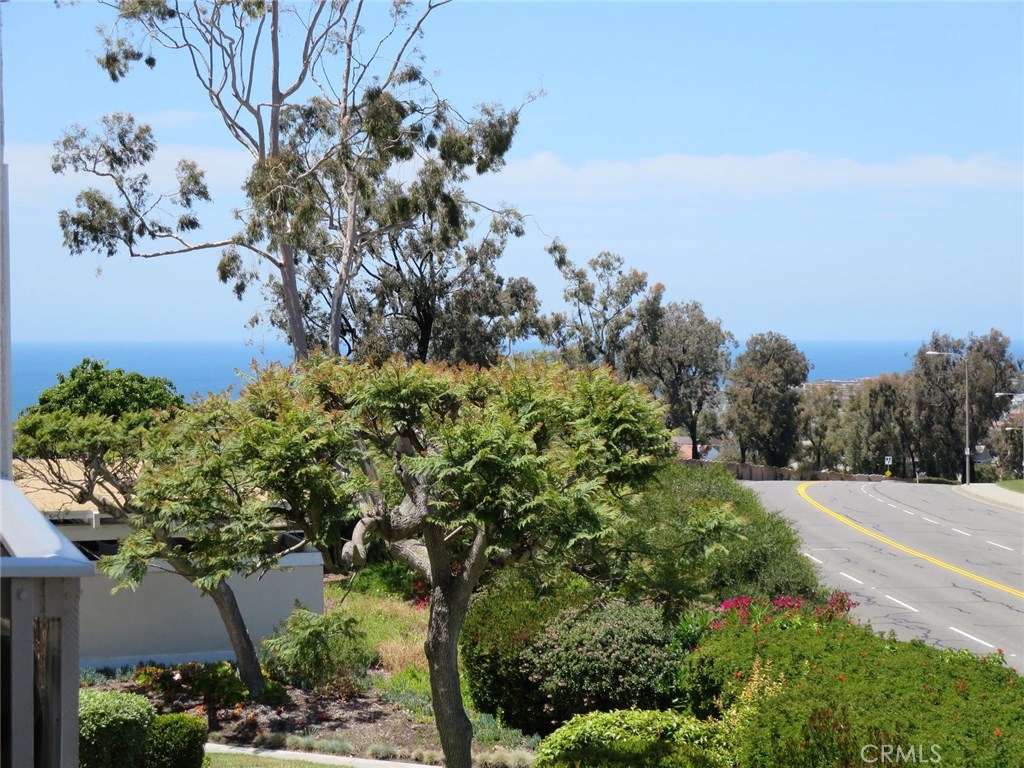 View from Dining Room - 24045 Vista Corona 20, Dana Point CA 92629 - photo 1