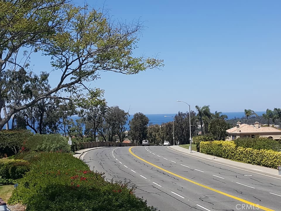 View from living room - 24055 Vista Corona, Dana Point CA 92629 - photo 1