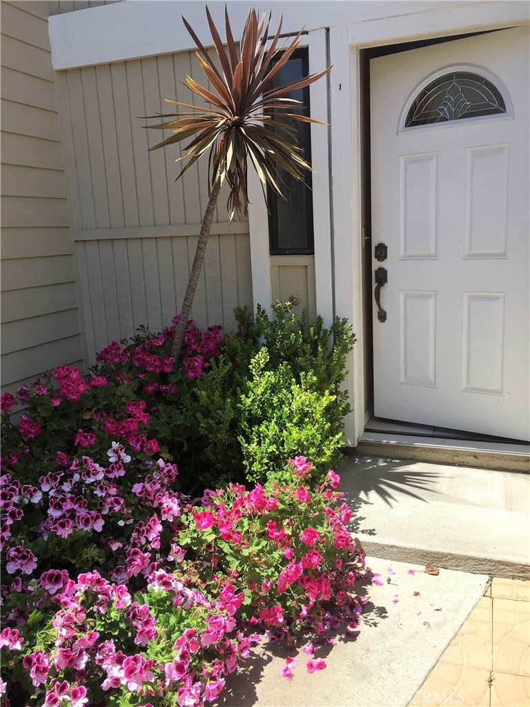24065 Windward Drive, Dana Point CA 92629 - photo 1