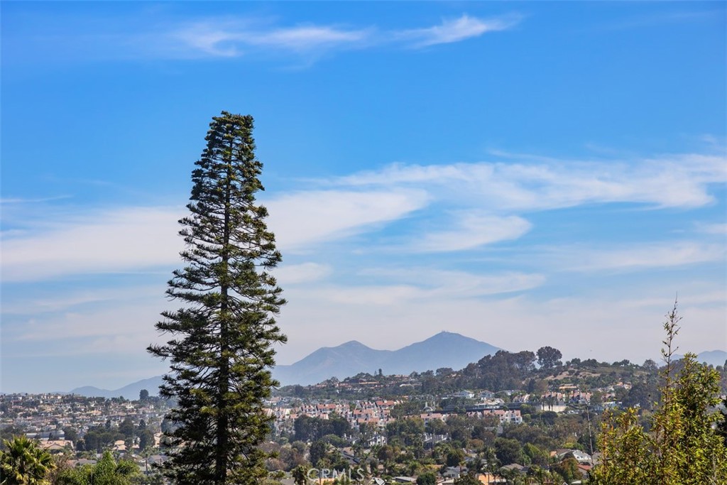 24091 Vista Corona, Dana Point CA 92629 - photo 21
