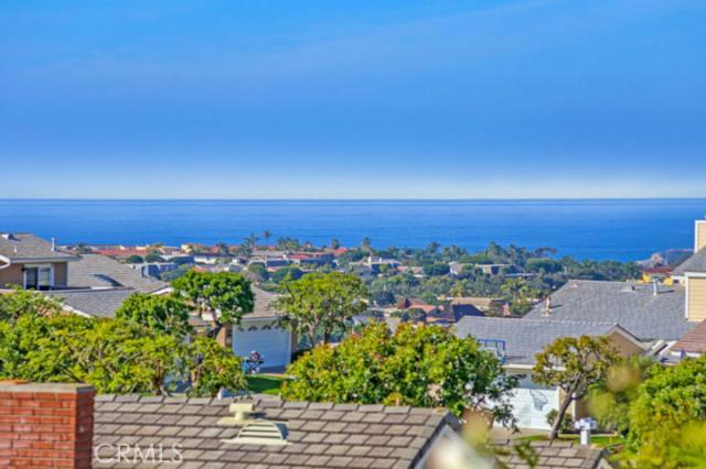 24161 Vista D Oro, Dana Point CA 92629 - photo 1