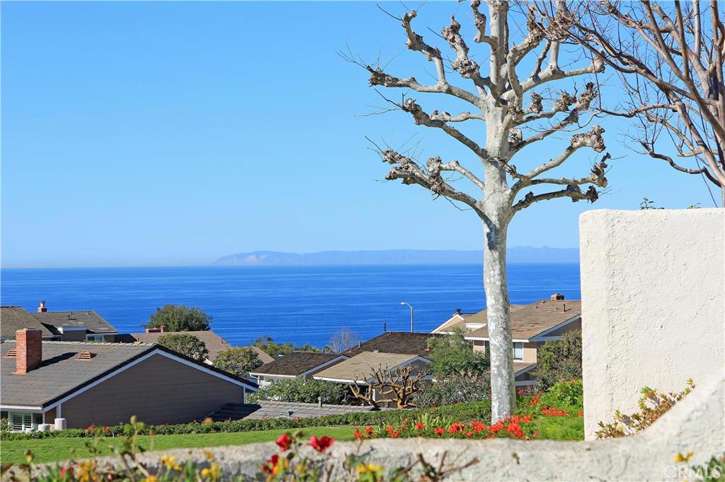 On the day this photo was taken, you could see both Catalina and also San Clemente Island even further out and to the le - 24172 Vista D Oro 75, Dana Point CA 92629 - photo 1