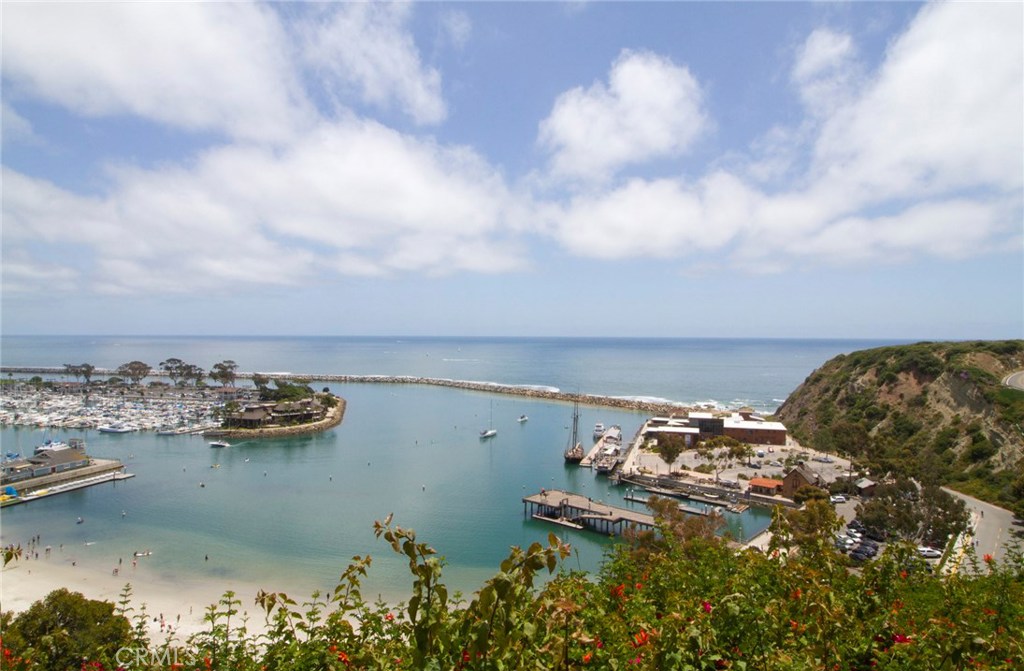 Yes - that's the view from your blufftop unit! - 24242 Santa Clara Avenue 23, Dana Point CA 92629 - photo 1