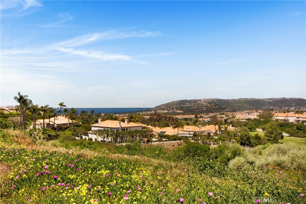 Ocean, Nightlight, and Mountain View - 24275 Cortes Drive, Dana Point CA 92629 - photo 1