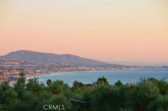24401 Vista Point Lane, Dana Point CA 92629 - photo 1