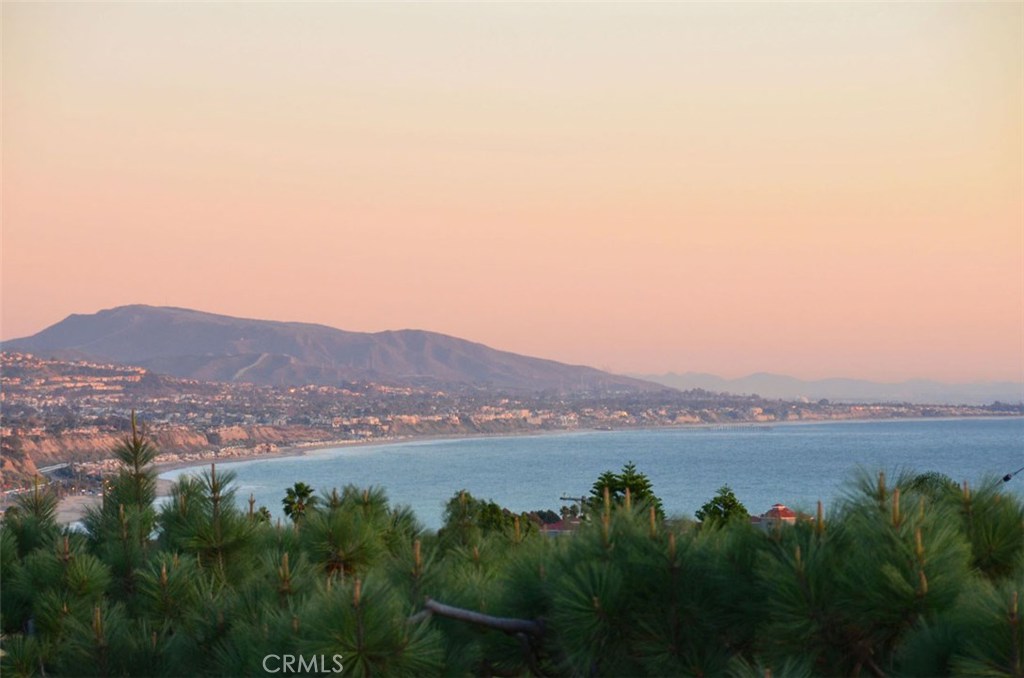 24401 Vista Point Lane, Dana Point CA 92629 - photo 1