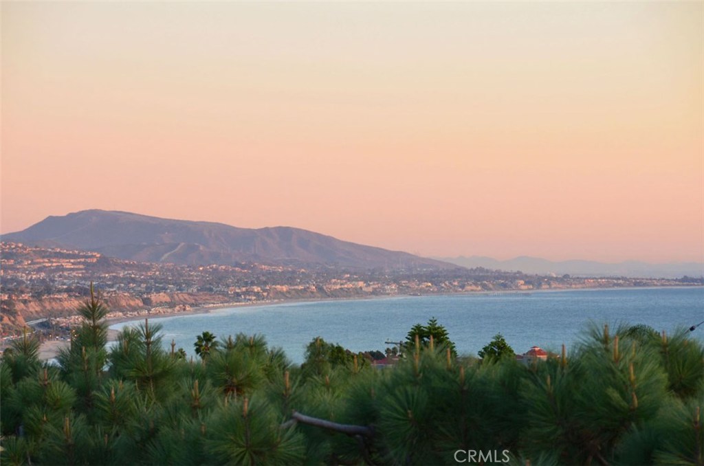 24401 Vista Point Lane, Dana Point CA 92629 - photo 1