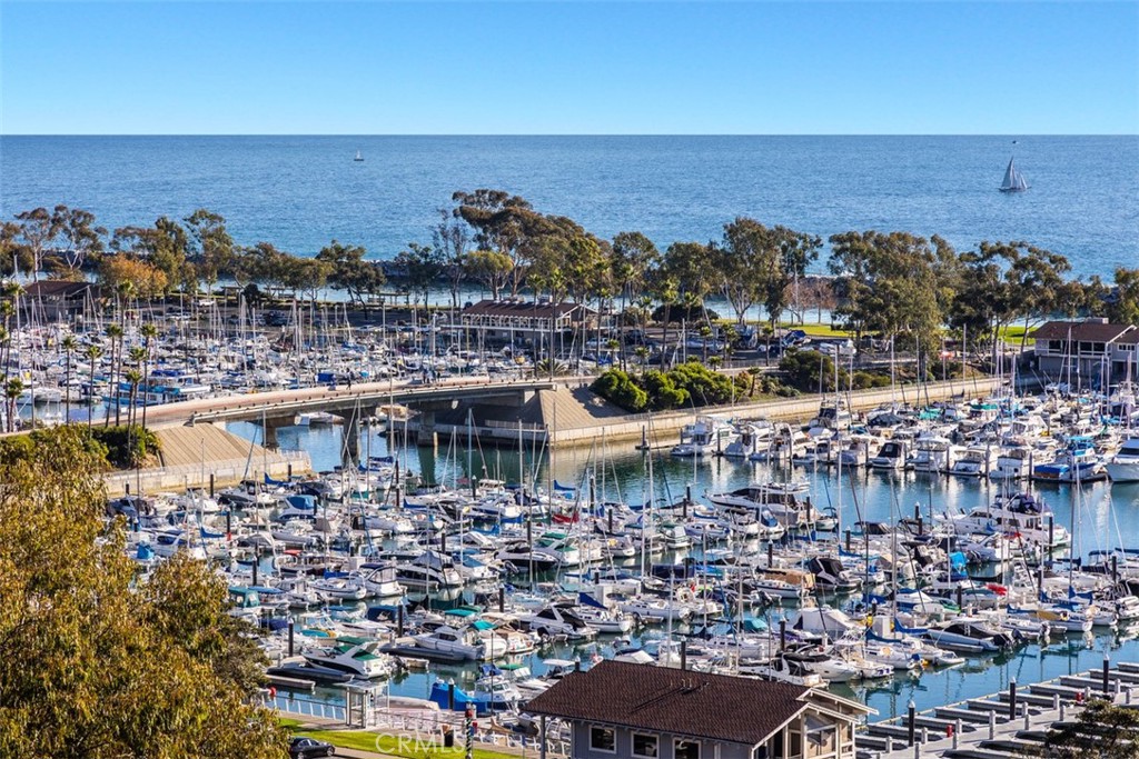 24536 Santa Clara Avenue, Dana Point CA 92629 - photo 28