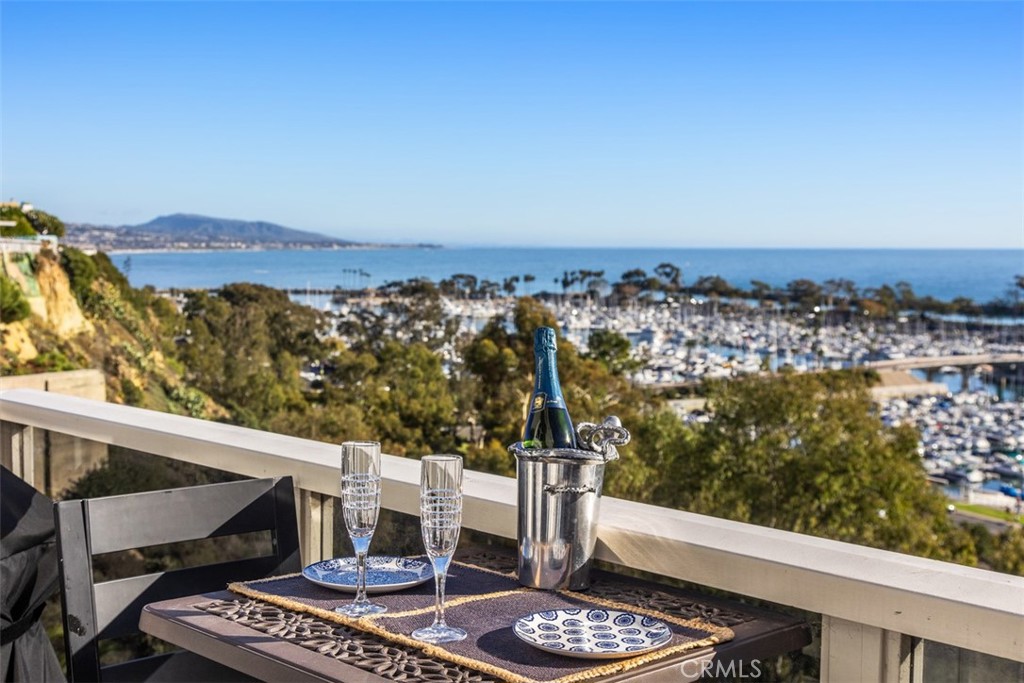 24536 Santa Clara Avenue, Dana Point CA 92629 - photo 30