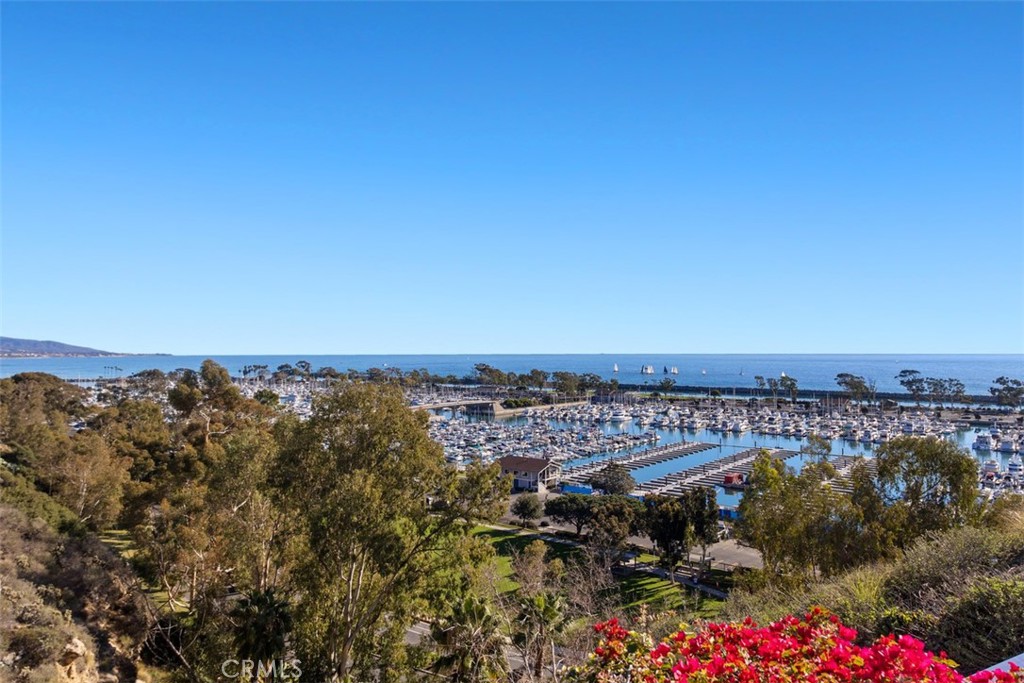 24536 Santa Clara Avenue, Dana Point CA 92629 - photo 52