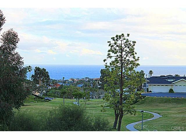 24581 Harbor View Drive C, Dana Point CA 92629 - photo 1