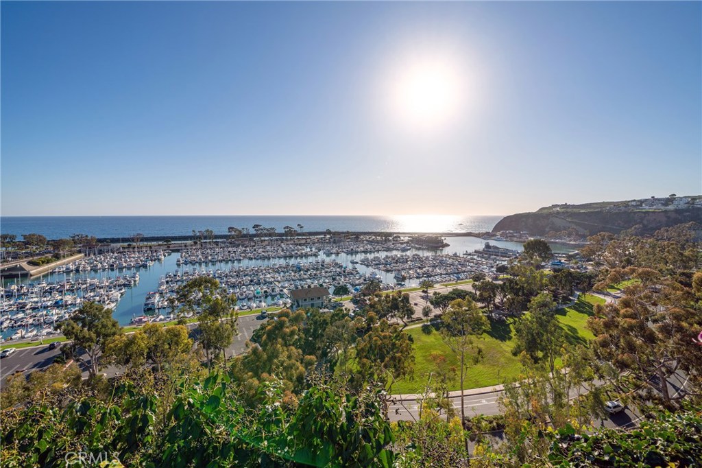 24622 El Camino Capistrano, Dana Point CA 92629 - photo 7