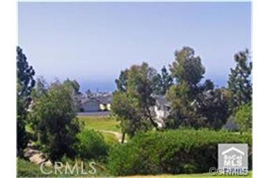 View From Back Deck - 24622 Harbor View Drive 59C, Dana Point CA 92629 - photo 1