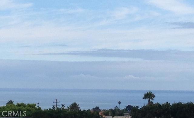 ocean view - 24692 Evening Star Drive 3, Dana Point CA 92629 - photo 1